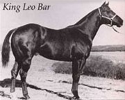 King Leo Bar