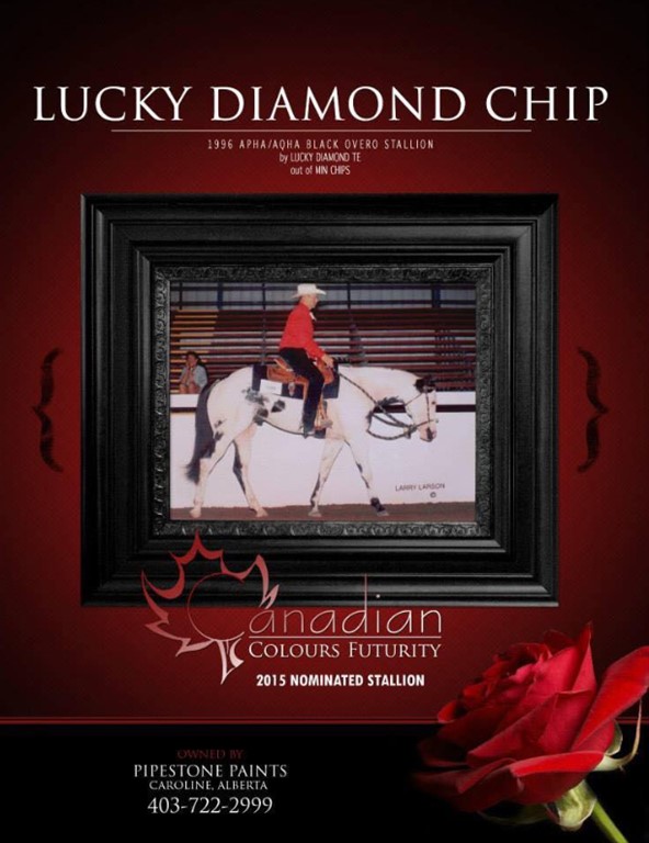 Lucky Diamond Chip