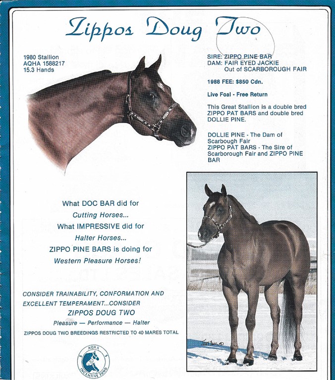 Zippos Doug Two