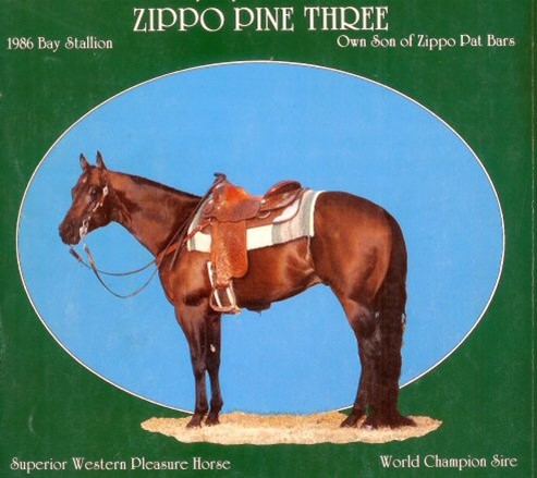 Zippo Pine Three